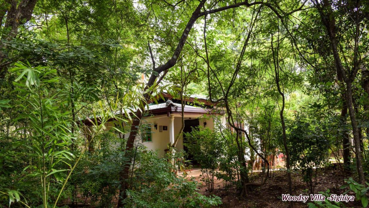 Woodsy Villa Sigiriya Exterior photo